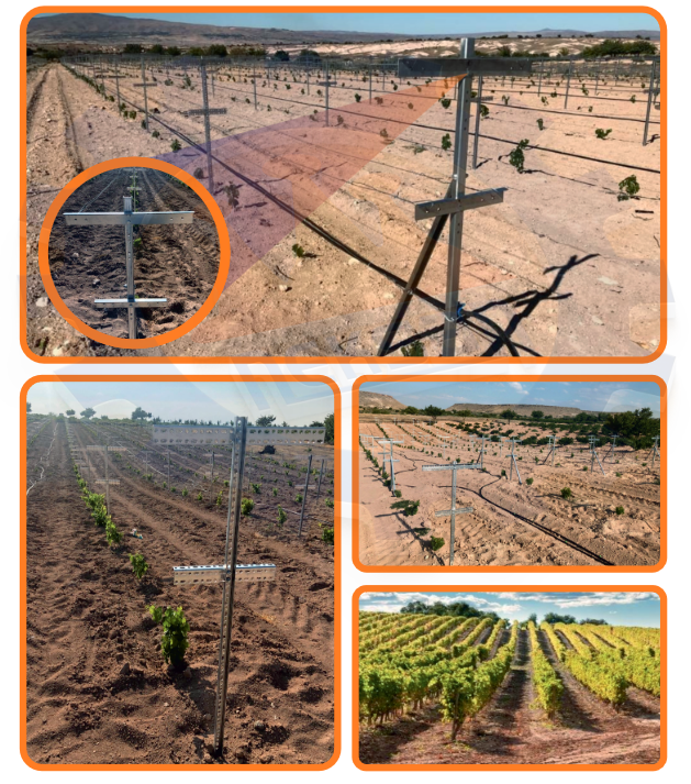 Telli Terbiye Sistemleri