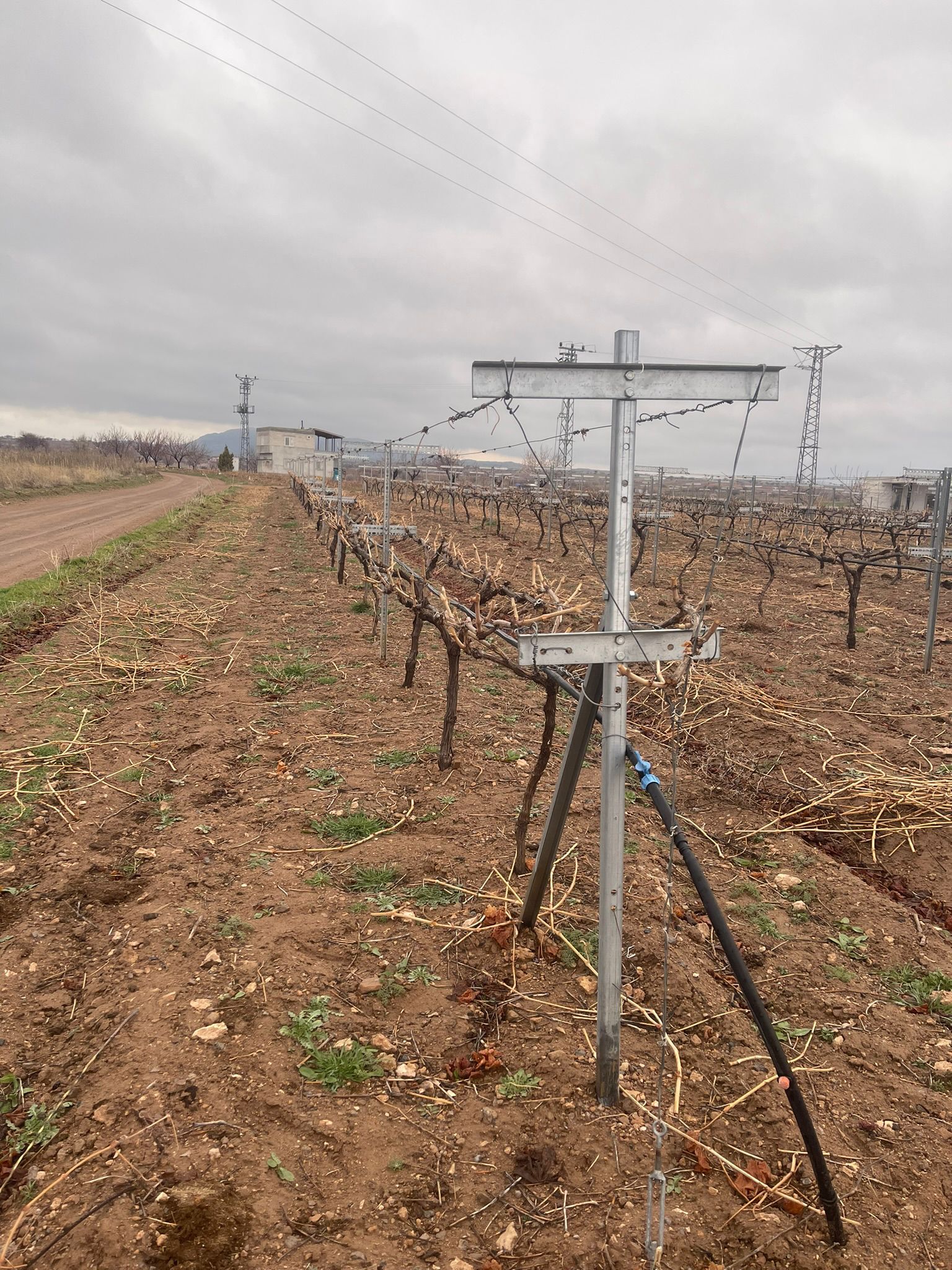 Telli Terbiye Sistemleri