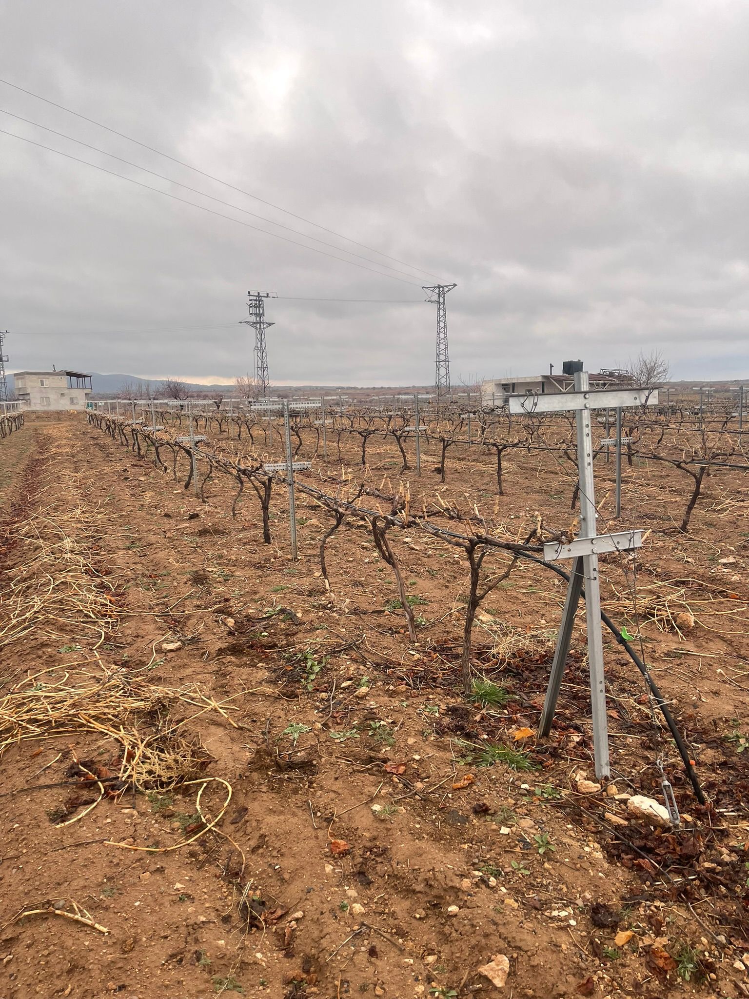 Telli Terbiye Sistemleri